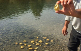 Dibi qızıl dolu &ccedil;ay tapıldı: İnsanlar bu b&ouml;lgəyə axın edir