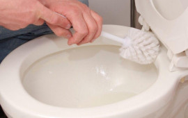 Tualet fırçasına bir az vurun, sürtün – ərp ləkələri dərhal yox olur