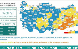 Türkiyədə daha 208 koronavirus xəstəsi vəfat edib