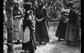 Bu kənddə 50 qadın ərini zəhərləyib ÖLDÜRDÜ 