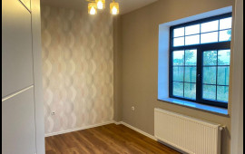 Şərqi Zəngəzur və Qarabağa qayıdış sürətlənir