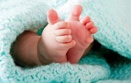 Yeni doğulan k&ouml;rpə &ouml;ld&uuml;