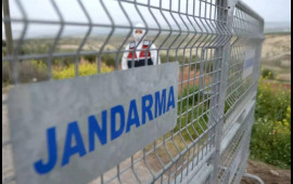 Türkiyədə bir kənd virusa görə karantinə alındı