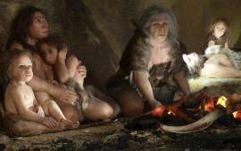 “Neandertallar niyə yox oldu?” sualına yeni cavab