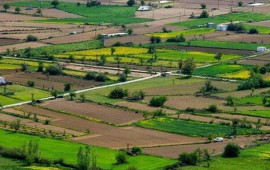 Torpaq özəlləşməsində mühüm addım