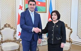 Sahibə Qafarova Gürcüstan parlamentinin sədri ilə görüşdü