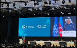 COP29 Azərbaycanda növbəti uğurunu qazanacaq  COP28 prezidenti