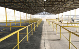 G&ouml;y&ccedil;ay heyvan satışı bazarının yaxın g&uuml;nlərdə a&ccedil;ılışı olacaq