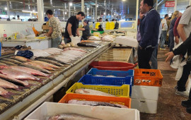 Balıq bahalaşdı  Levrək 20, &ccedil;upra 18 manat...