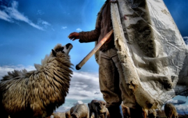 &Ccedil;obanlar yarım milyonluq cinayətə g&ouml;rə TUTULDU
