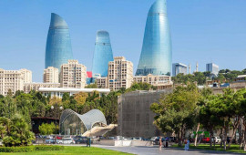 Bakıda insanlar təşviş içində  küçəni bürüyən bu canlılar nədir? 