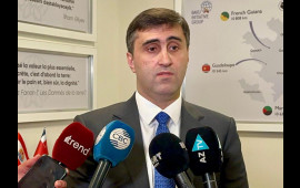 BMTnin Afrika əsilli Şəxslərin Daimi Forumunun rəsmi internet səhifəsində BTQ icraçı direktorunun çıxışı yerləşdirilib