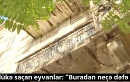 Qəzalı eyvanlar: başınızı daşdan qoruyun 