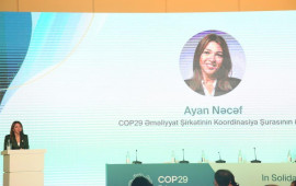 COP29da iştirak üçün 3000ə yaxın media nümayəndəsi qeydiyyatdan keçib