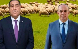 Həbs edilən icra başçıları şərik imiş