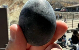 Kömür kimi qara yumurtalar qızıldan da dəyərlidir: 195 manata satılır 