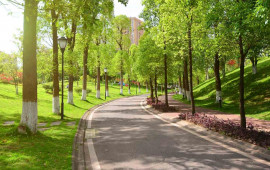 Azərbaycanda yeni park salınır
