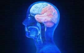 Beyinə zərər verən qidalar açıqlandı