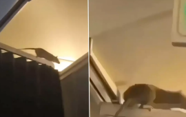 Təyyarəyə si&ccedil;an girdi, u&ccedil;uşu dayandırıb 36 saat onu axtardılar