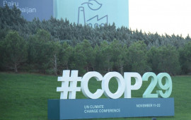 Dünya azərbaycanlıları COP29un Azərbaycanda keçirilməsi ilə əlaqədar BƏYANAT