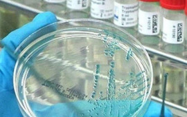 “Virus hələ də bizimlədir” – Səhiyyə Nazirliyi xəbərdarlıq edir