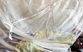 5 həftədə 31 nəfər &ouml;ld&uuml;   "Lassa" qızdırması ilə bağlı son vəziyyət