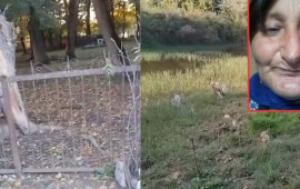 Sosial şəbəkələrdə gündəm olan Qərənfilin iddiaları ilə bağlı RƏSMİ AÇIQLAMA