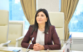 Avropa Parlamentinin qətnaməsi Azərbaycanın daxili işlərinə kobud m&uuml;daxilədir  Sevil Mikayılova