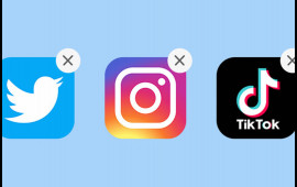 Fransanın dövlət qurumlarında "TikTok", "Instagram" və "Twitter" qadağan edilib