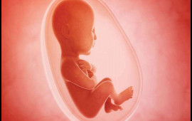 Gecikmiş abort qadın sağlığında hansı