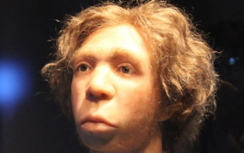 Niyə məhz Neandertal kişilər və Homo sapiens qadınlar?