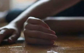 Cəlilabadda 62 yaşlı qadın qətlə yetirilib, qaynı şübhəli bilinir