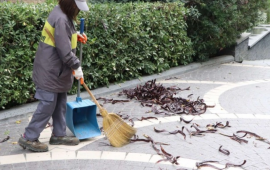 Bakıda parkda süpürgəçi öldü