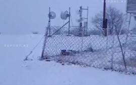 Naxçıvan 3 sm qar yağdı 