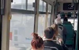 Bakıda avtobuslar yarışa çıxdı 