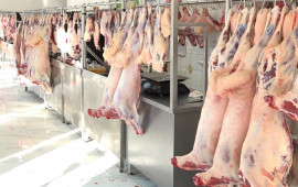 Quzu ətinin qiyməti kəskin artdı  MƏBLƏĞ