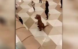 Bakı aeroportunda qonaq qarşılayan "dinozavr" 