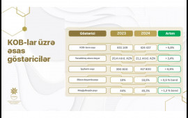 Azərbaycanın KOB sektoru &uuml;zrə artım dinamikası davam edir