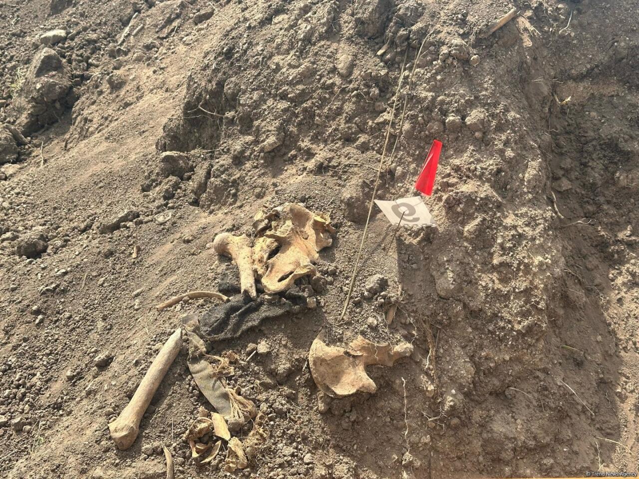 Xocalıda daha bir kütləvi məzarlıq aşkarlandı 