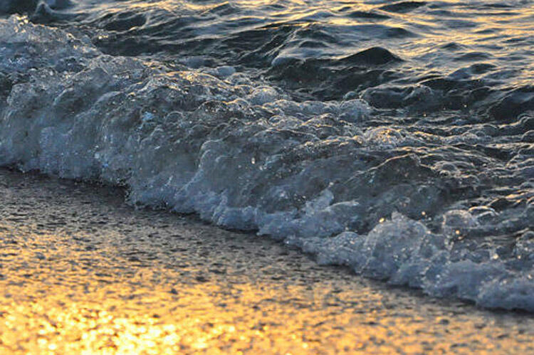 Xəzərdə balıqlar niyə azalır?  A&Ccedil;IQLAMA