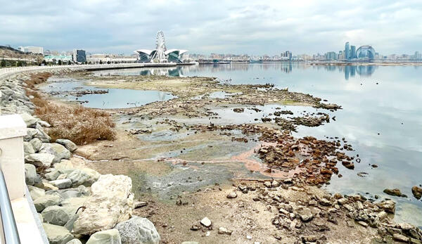 Xəzərin geri çəkilməsi hər sahəyə təsir etdi  Ekoloji təhlükə yaxınlaşır?