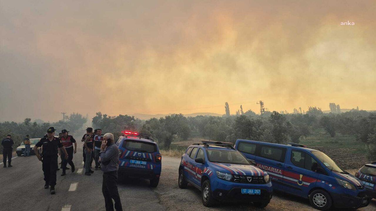 Meşə yanğınlarının əsas səbəbləri açıqlandı