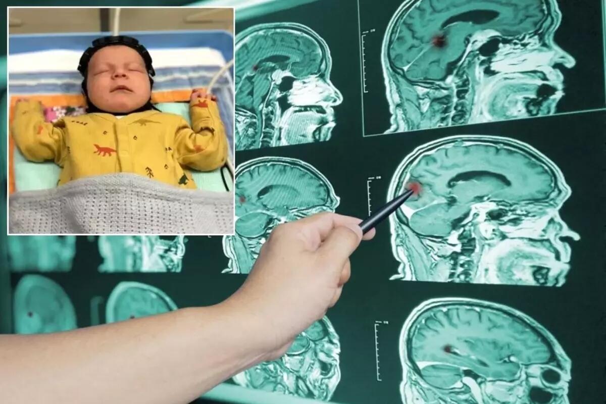 Elmdə inqilab  Möcüzəvi başlıq ixtira olundu