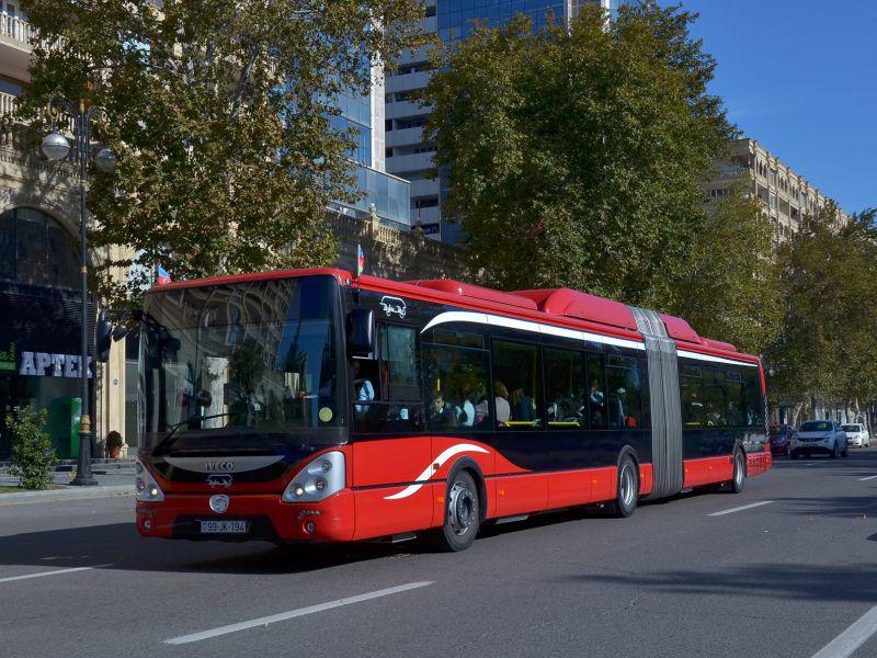Bakıda ağac "Baku Bus" un üzərinə AŞDI 