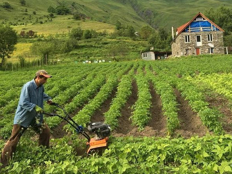 Sel baş verən ərazilərdə ziyan görən fermərlərə yardım ediləcək? 