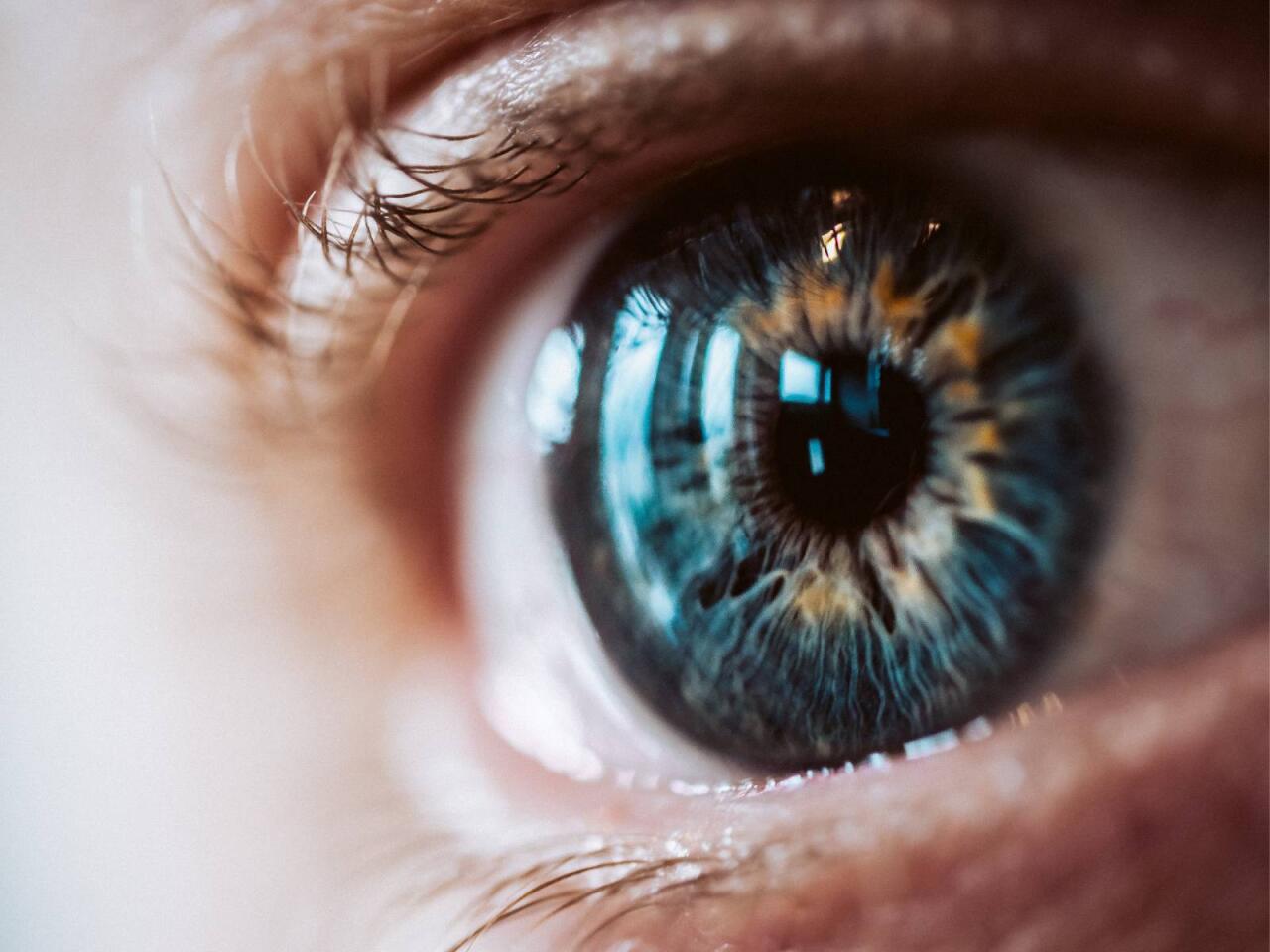 Yalanı ayırd edə bilmirsinizsə, diqqətlə g&ouml;z&uuml;n&uuml;n i&ccedil;inə baxın  VİDEO