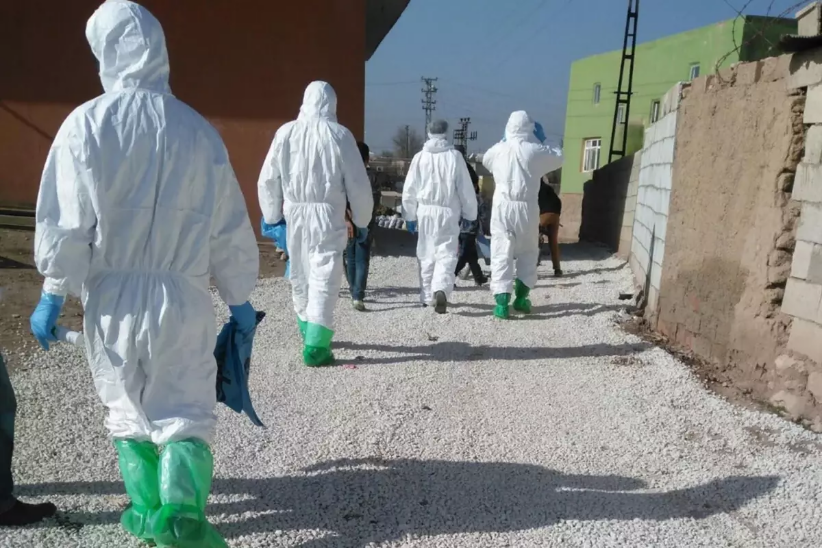 Türkiyədə virusa görə 11 kənd karantinə alındı