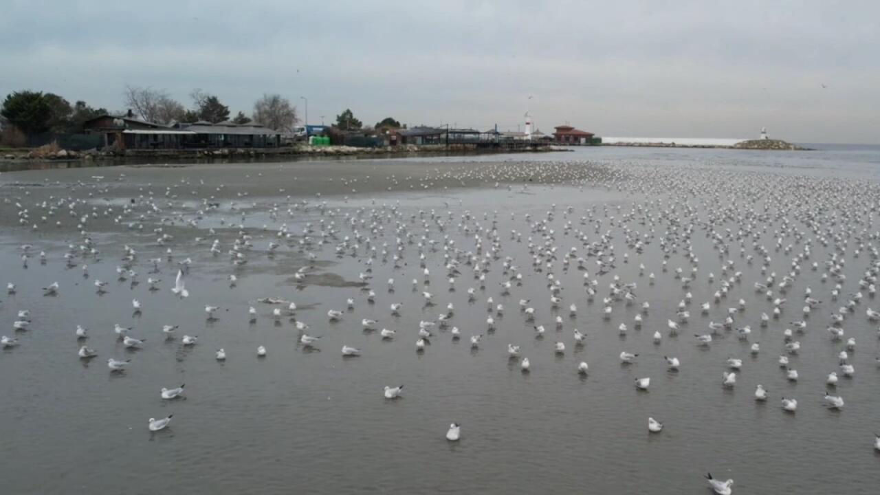 T&uuml;rkiyədə hamı bu g&ouml;r&uuml;nt&uuml;lərdən DANIŞIR 