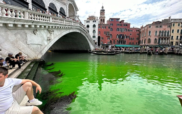 Venesiya suları yaşıla büründü  FOTO