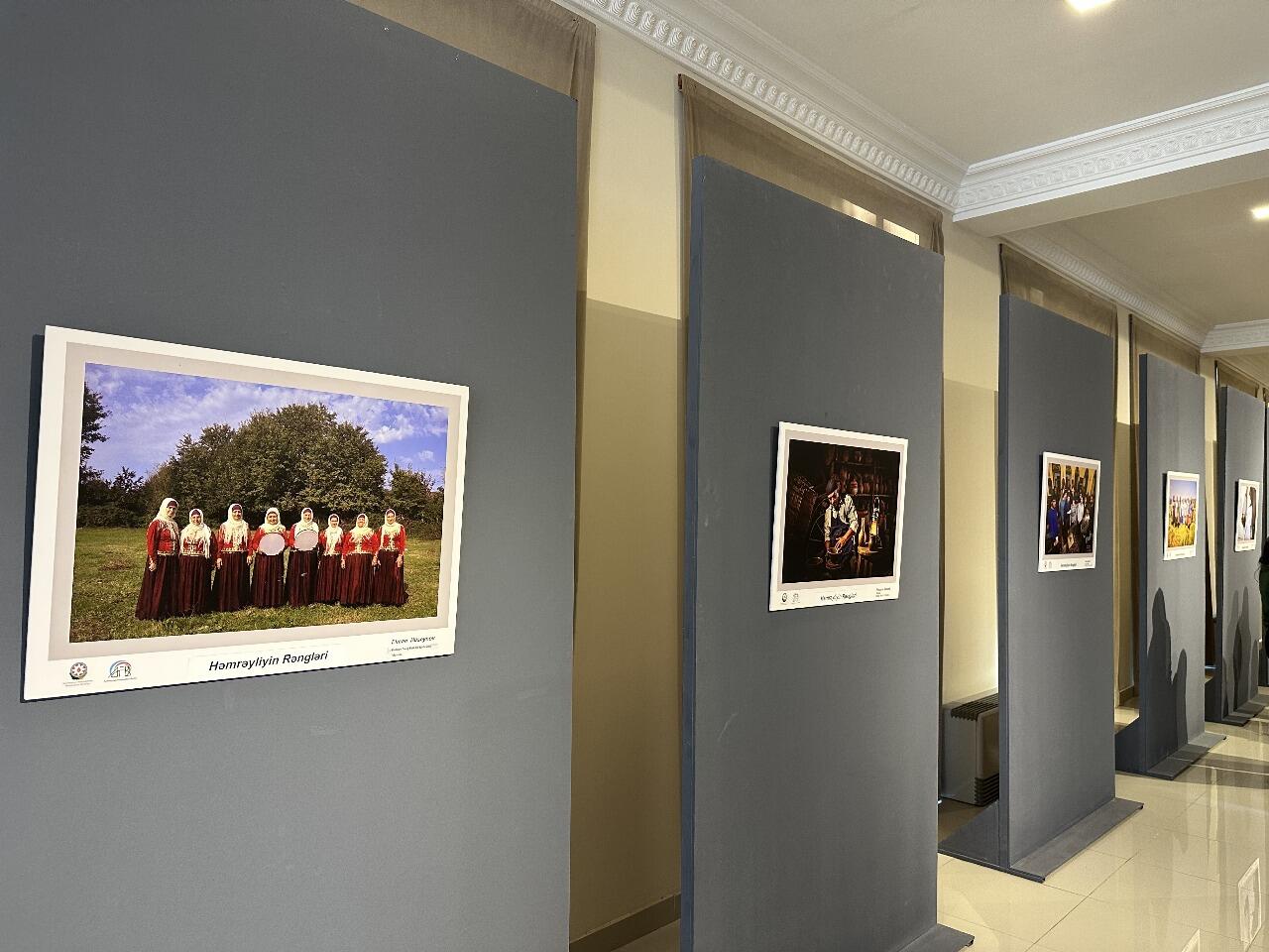 Gəncə D&ouml;vlət Filarmoniyasının "Həmrəyliyin rəngləri" adlı sərgi a&ccedil;ılıb  FOTO